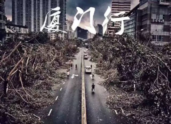 30張圖片告訴你，前幾天在廈門登陸的臺風到底有多牛掰！