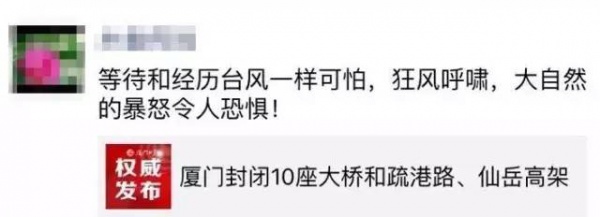 30張圖片告訴你，前幾天在廈門登陸的臺風到底有多牛掰！