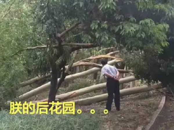 30張圖片告訴你，前幾天在廈門登陸的臺風到底有多牛掰！