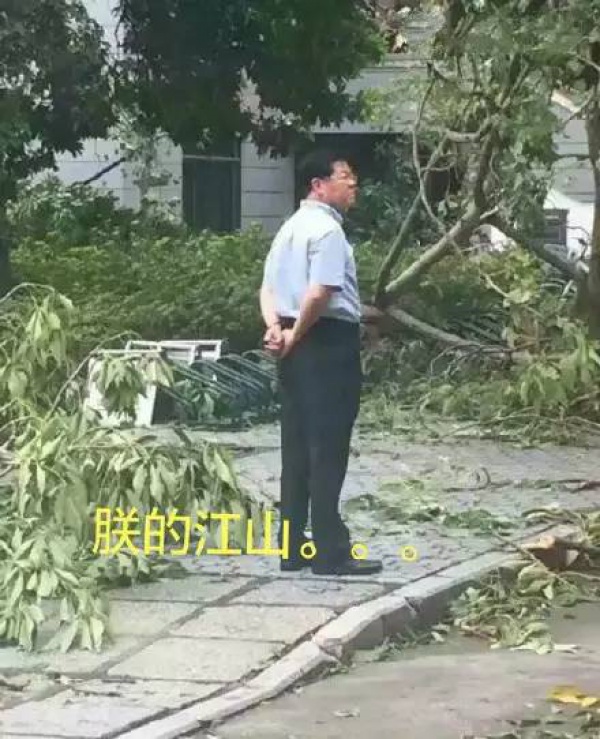 30張圖片告訴你，前幾天在廈門登陸的臺風到底有多牛掰！