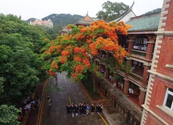 30張圖片告訴你，前幾天在廈門登陸的臺風到底有多牛掰！