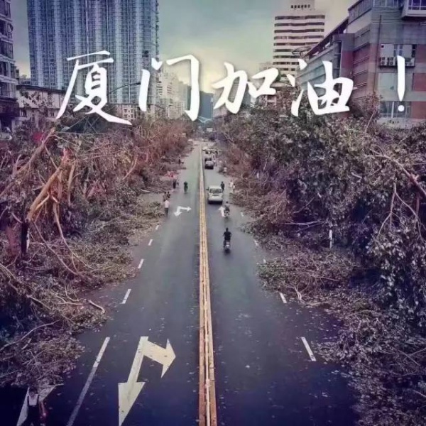 一次臺風，終于看清了廈門人的真面目！