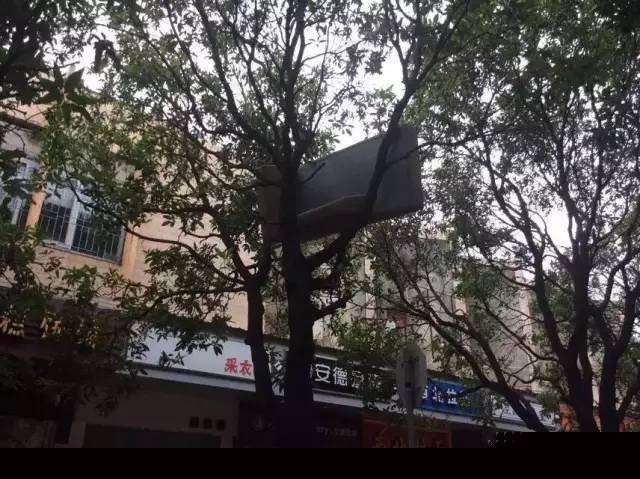 一次臺風，終于看清了廈門人的真面目！