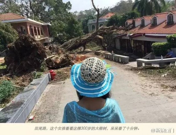 一起見證廈門奇跡，這座滿目瘡痍的城市已經傷愈！
