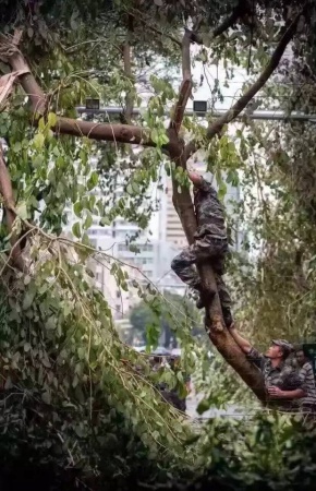 一起見證廈門奇跡，這座滿目瘡痍的城市已經傷愈！
