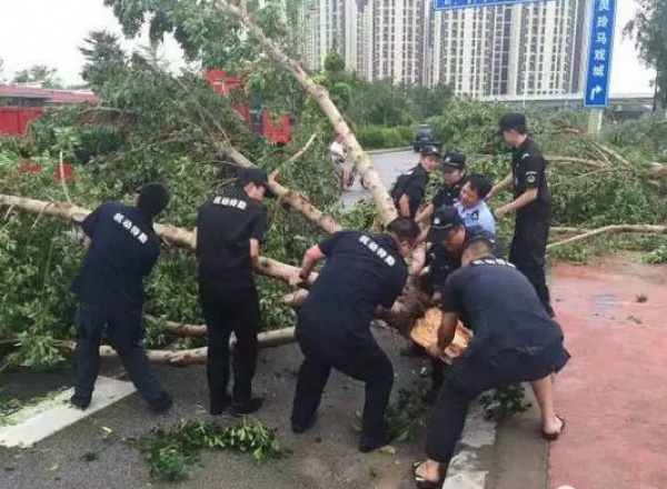他們用這種方式捍衛(wèi)集美，總有一幕令你動(dòng)容！