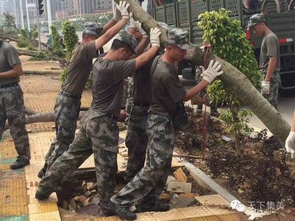 你聽說過“集美速度”嗎？看完臺風后的集美交通你就明白……