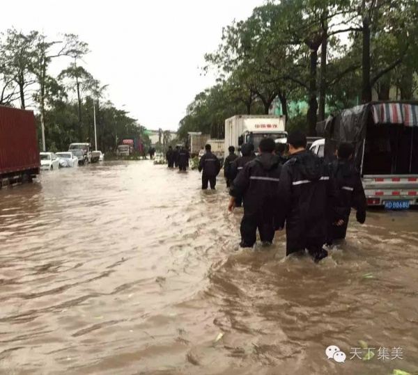 臺風中不能被遺忘的畫面，看一次感動一次！
