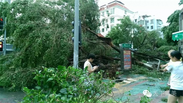 大量獨家航拍：超強(qiáng)臺風(fēng)“莫蘭蒂”過境后，集美12小時震撼實景……