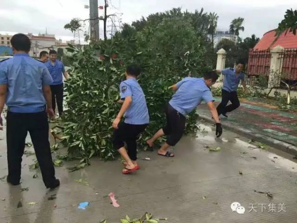 大量獨家航拍：超強(qiáng)臺風(fēng)“莫蘭蒂”過境后，集美12小時震撼實景……