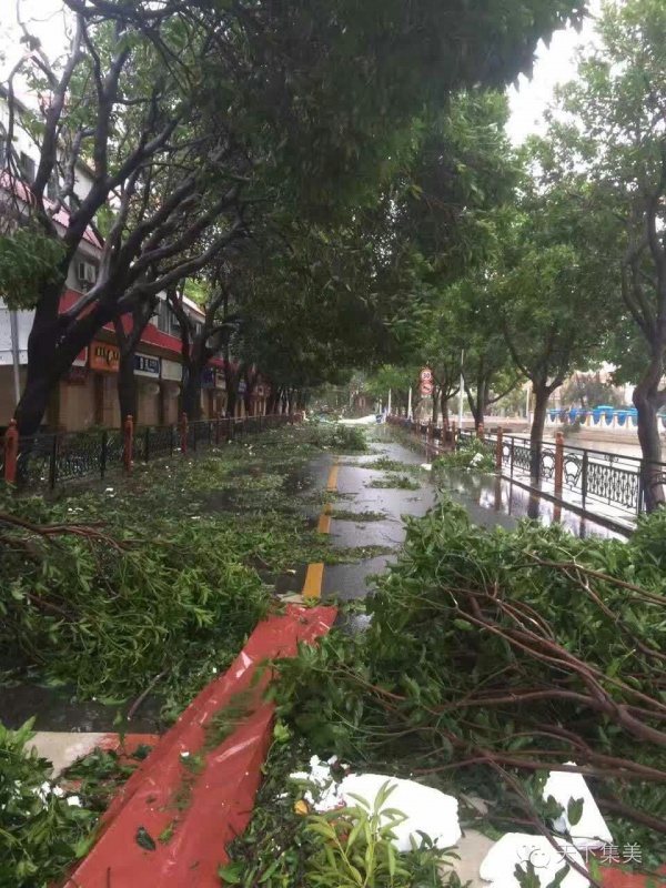 大量獨家航拍：超強(qiáng)臺風(fēng)“莫蘭蒂”過境后，集美12小時震撼實景……