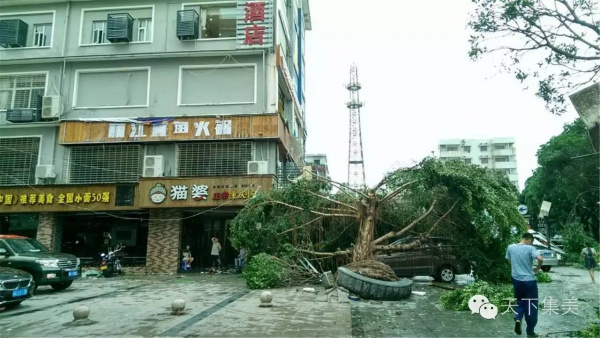 大量獨家航拍：超強(qiáng)臺風(fēng)“莫蘭蒂”過境后，集美12小時震撼實景……