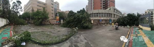 大量獨家航拍：超強(qiáng)臺風(fēng)“莫蘭蒂”過境后，集美12小時震撼實景……