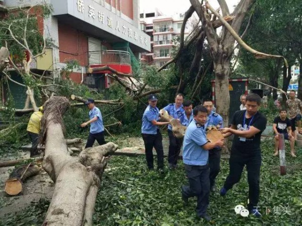 大量獨家航拍：超強(qiáng)臺風(fēng)“莫蘭蒂”過境后，集美12小時震撼實景……
