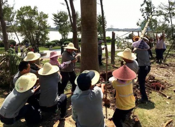 救救它們，只有幾天的機(jī)會！集美2700多人已經(jīng)在行動……