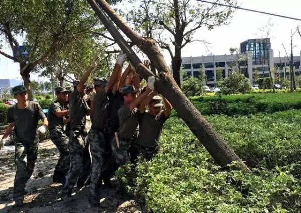 救救它們，只有幾天的機(jī)會！集美2700多人已經(jīng)在行動……
