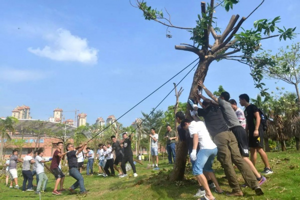 極美！臺風后集美大學驚現“彩虹”，引網友圍觀點贊！