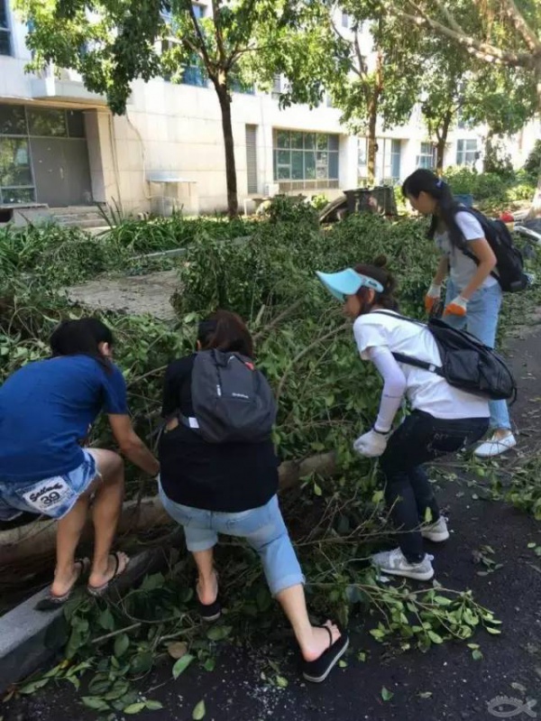 這是翔安的災(zāi)難，可卻在朋友圈瘋傳著這些照片！