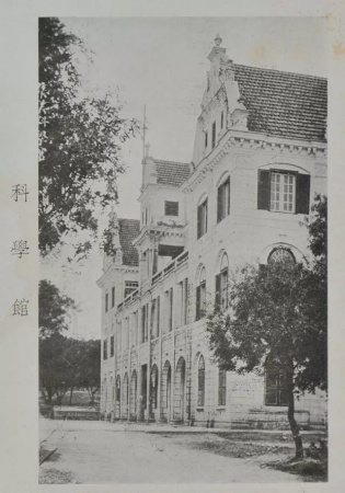 學村印象｜原來，石鼓路不僅有大榕樹，還有個“小巴黎”……