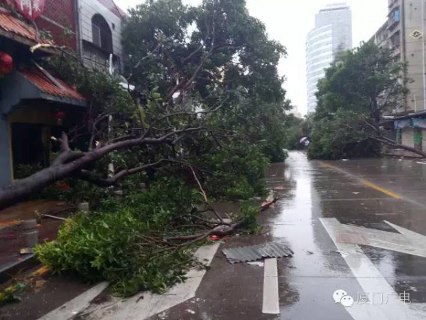 緊急！“鲇魚”路徑直指廈門！風圈比“莫蘭蒂”大一倍！廈門又拉警報了…