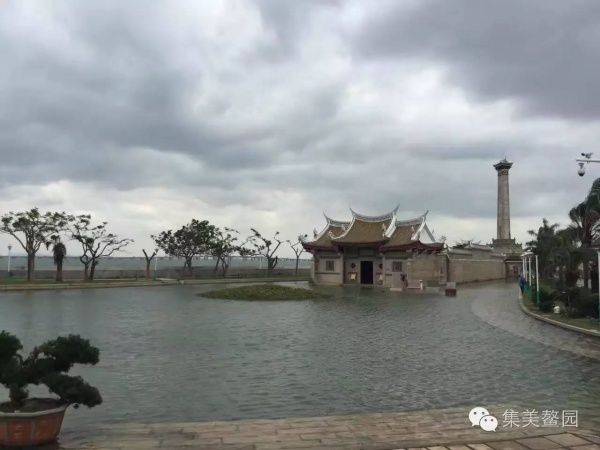 這是集美鰲園一年唯獨(dú)一次的景色