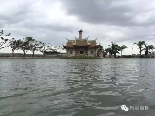 這是集美鰲園一年唯獨(dú)一次的景色
