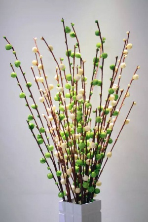 家里放這些植物大吉大利、平安招財，你放了沒有？