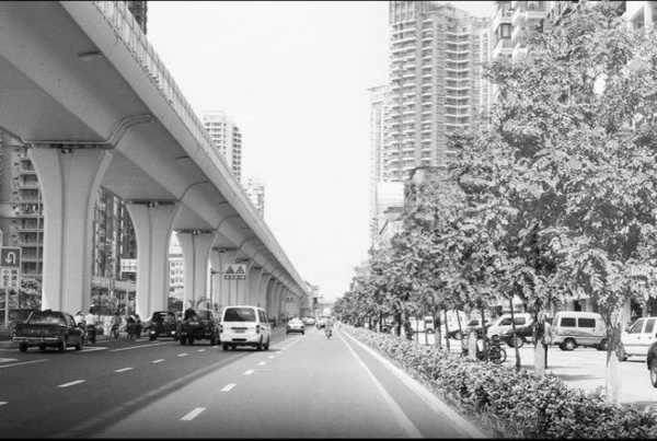 它是每個廈門人耳熟能詳的一條路，它的發展見證了廈門城市化變遷