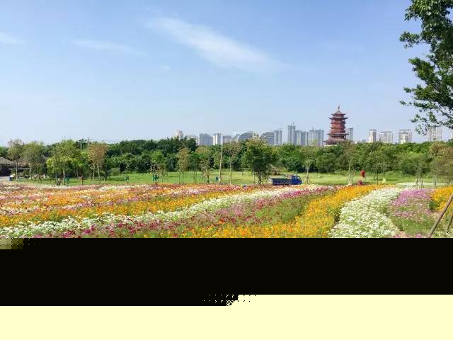 2017園博苑大改變，網(wǎng)友直呼太驚艷！