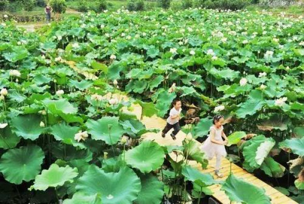 厲害了！同安新增6個省級旅游特色村，快來看看你都去過了嗎？
