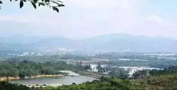 厲害了！同安新增6個省級旅游特色村，快來看看你都去過了嗎？