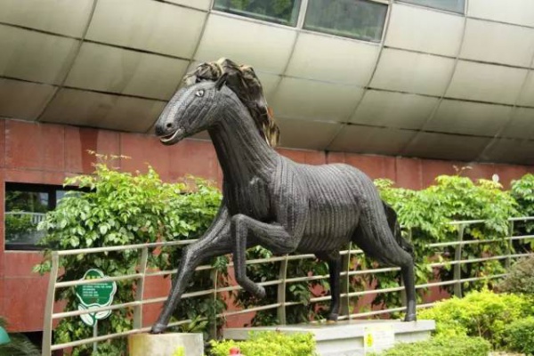 【嘩！】元旦節(jié)假期好去處：廈門風(fēng)車游樂園開園了，無限量門票免費(fèi)送！