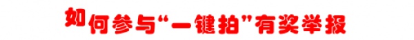 新年到！福利到！！明年1月1日起有效舉報交通違法可獲現金獎勵