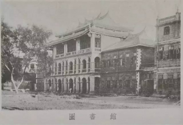 新年新感動：你我牽掛的石鼓路榕樹爺爺發(fā)新芽！