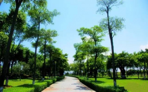 翔安隧道邊上私藏一座公園！像蒙著面紗的佳人等你來(lái)揭曉…