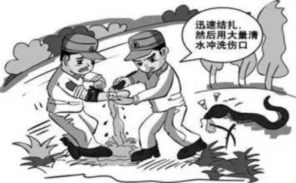 這九個日常急救常識竟然都是錯的！家長教過，影視劇里也常見