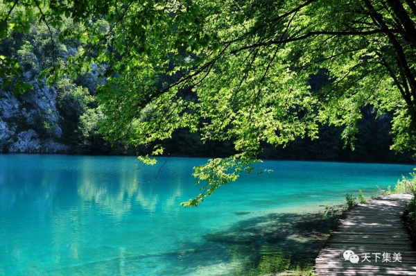 廈門最大生態公園要來了！集“山、海、湖”美到不可方物！
