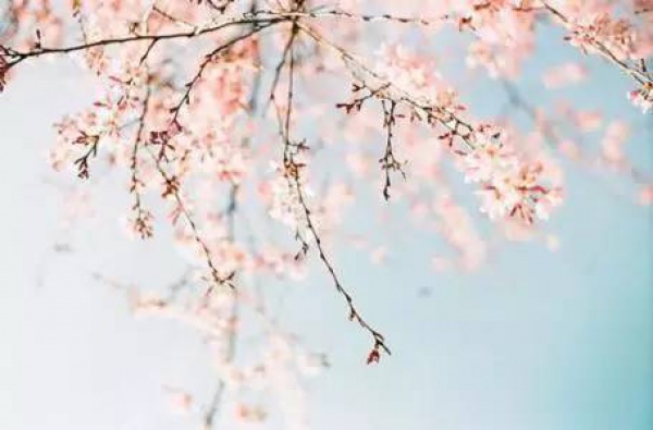 春風到，百病發(fā)！收好這份防病指南，家有老人孩子的尤其要看