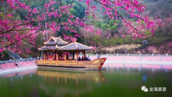 三月將至，花開當(dāng)時(shí)，賞櫻之行要提上日程了！