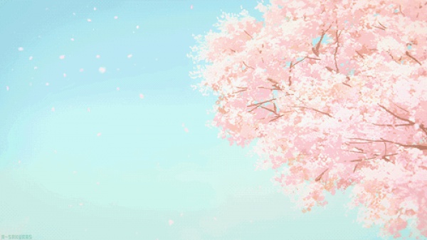 三月將至，花開當(dāng)時(shí)，賞櫻之行要提上日程了！