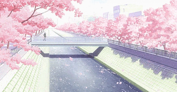 三月將至，花開當(dāng)時(shí)，賞櫻之行要提上日程了！