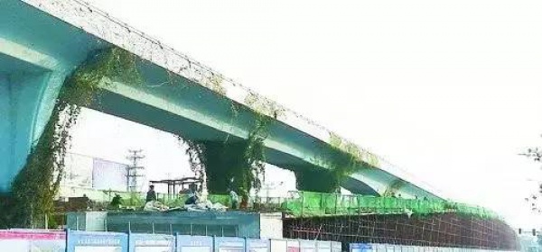 好消息丨今天12點，集源隧道、集美大道跨線橋開放！