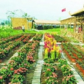 榮杰園臺灣水果觀光園