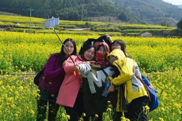 【￥99元|每周六發團】桃花島-欣賞桃花李花；古山重-艷遇最美油菜花開1日游