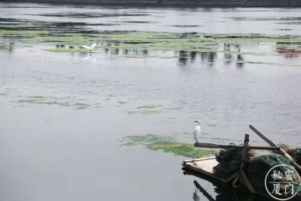 美食地圖丨今天天氣真正好，跟吃貨團(tuán)暴走集美學(xué)村~