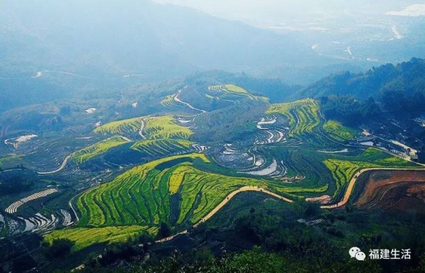收藏！最新最全的福建油菜花地圖就在這兒啦