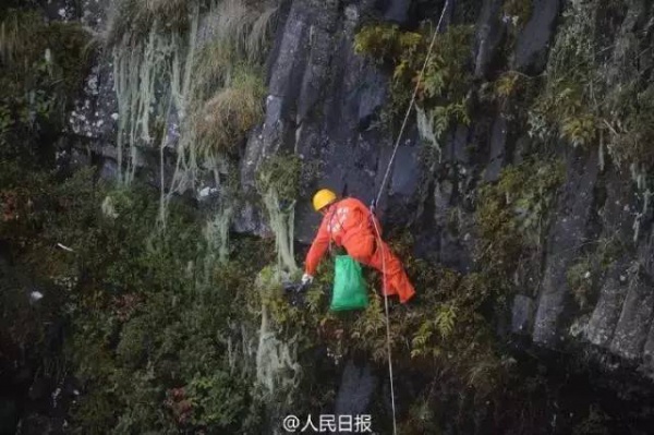 這20個(gè)人趕緊滾出廈門，立刻！馬上！