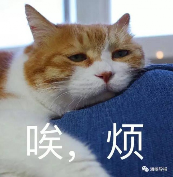 出行變化丨閩D車主注意！3天后別這樣走集美大橋！千萬記住...