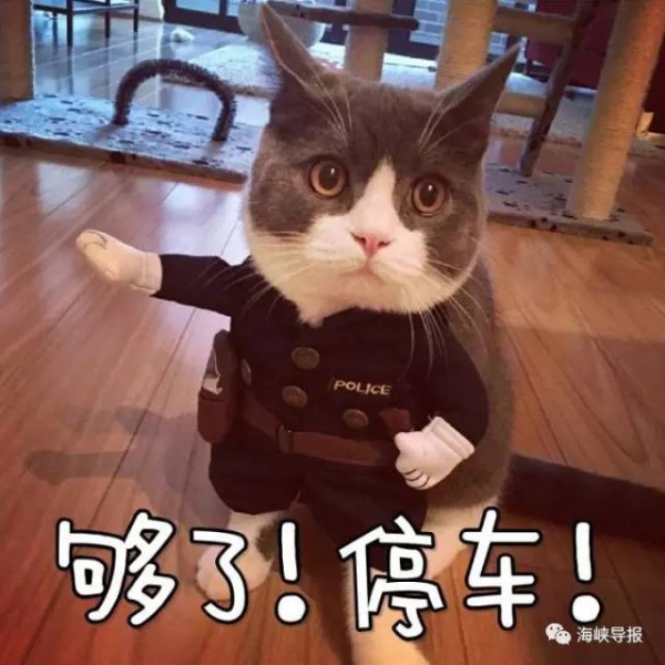 出行變化丨閩D車主注意！3天后別這樣走集美大橋！千萬記住...