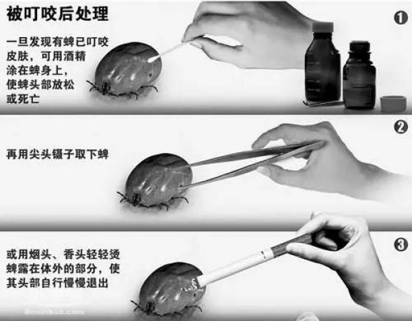 重要提醒：這些病廈門(mén)已經(jīng)進(jìn)入高發(fā)季，治療不及時(shí)可能喪命！